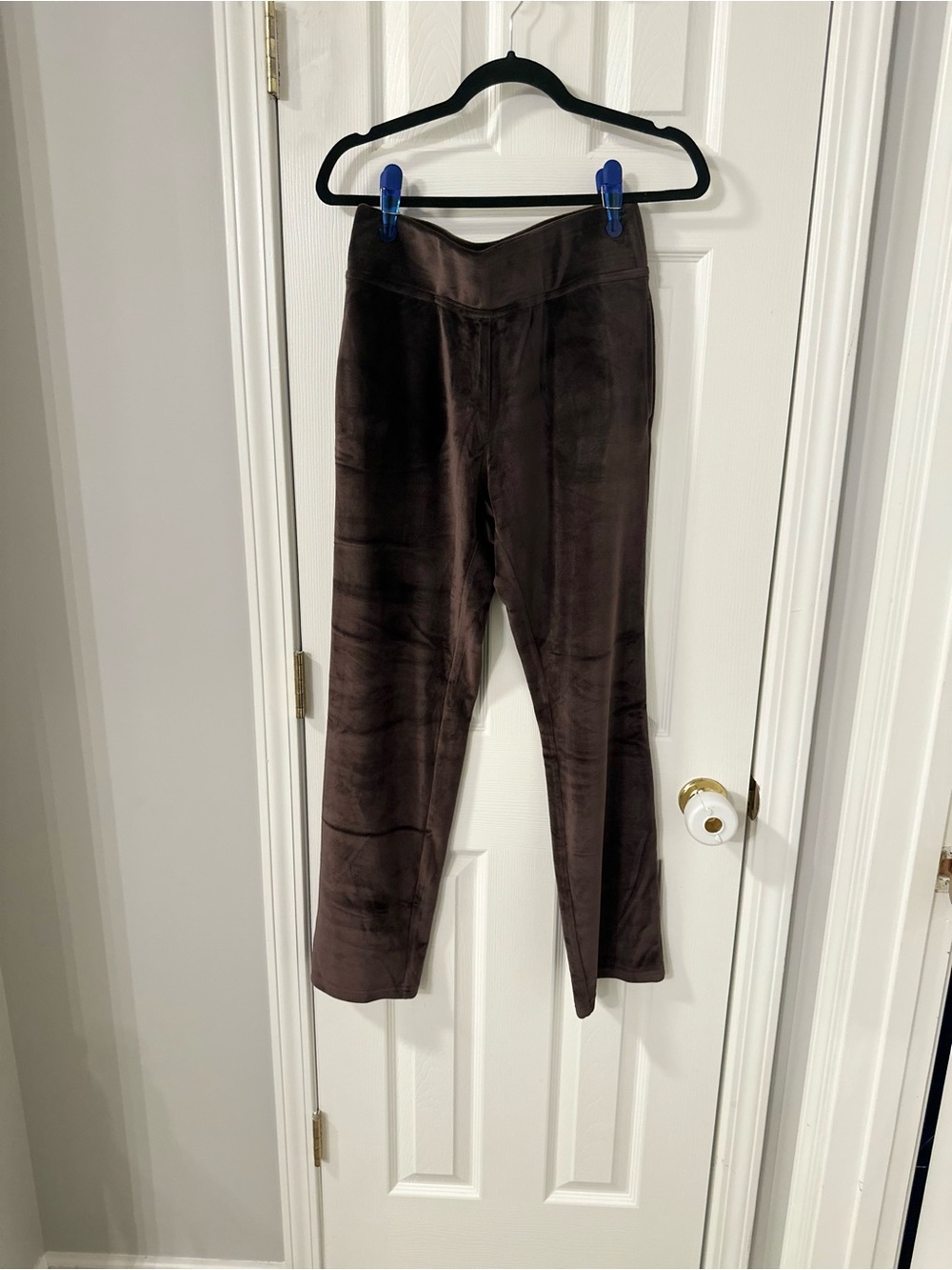 Belle by Kim Gravel Chocolate Brown Velour Pull-On Pants